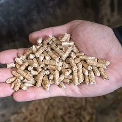 A hand filled with Pfeifer pellets