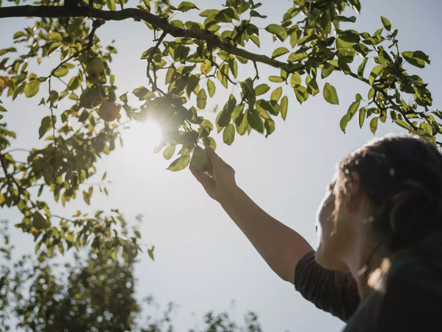 Hotel Neuhaus Garten