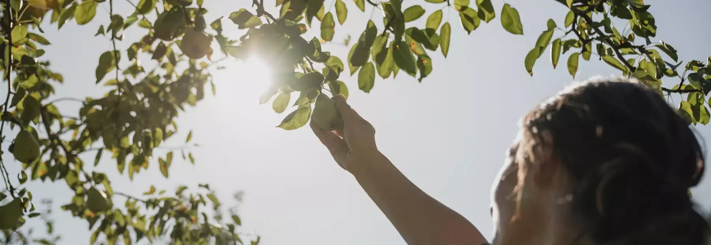 Hotel Neuhaus Garten